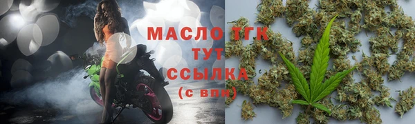 PSILOCYBIN Ельня