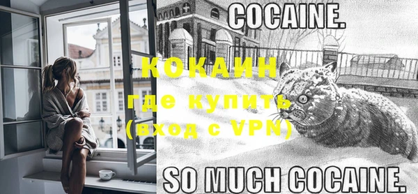a pvp Шали