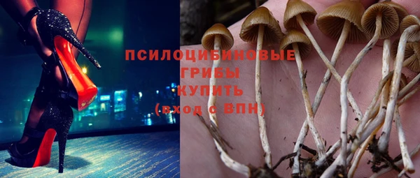 гидра Горняк