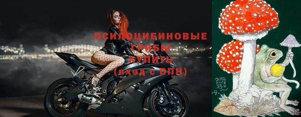 a pvp Шали