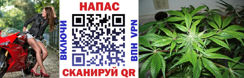 omg зеркало  нарко площадка формула  Конопля OG Kush  Балей 