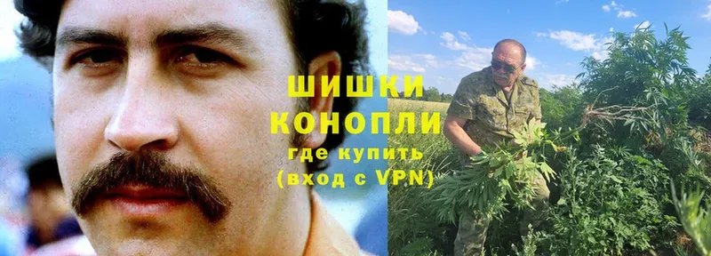 МАРИХУАНА индика  Балей 